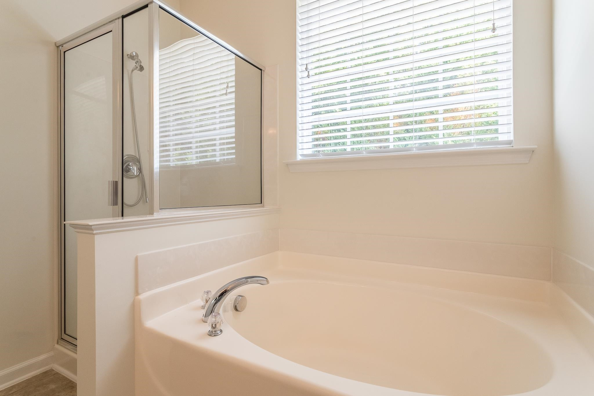 4815 Glass Tower Way Raleigh, NC 27612 - Photo 19 of 30 Soaking Tub and separate Shower