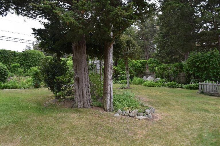 62 Cedar Land Road Orleans, MA 02653 - Photo 19 of 30 a view of a backyard with large trees