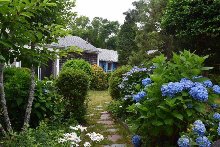 62 Cedar Land Road Orleans, MA 02653 - Photo 2 of 30 a view of a garden with plants