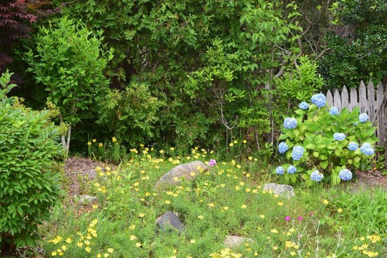 62 Cedar Land Road Orleans, MA 02653 - Photo 22 of 30 a backyard of a house with lots of green space and garden