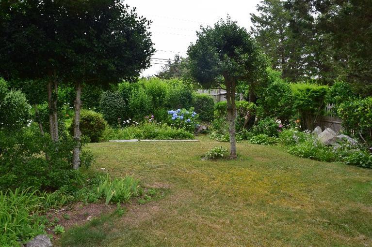 62 Cedar Land Road Orleans, MA 02653 - Photo 25 of 30 a big yard with lots of green space and plants