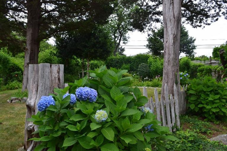62 Cedar Land Road Orleans, MA 02653 - Photo 27 of 30 a small garden covered with lots of green space