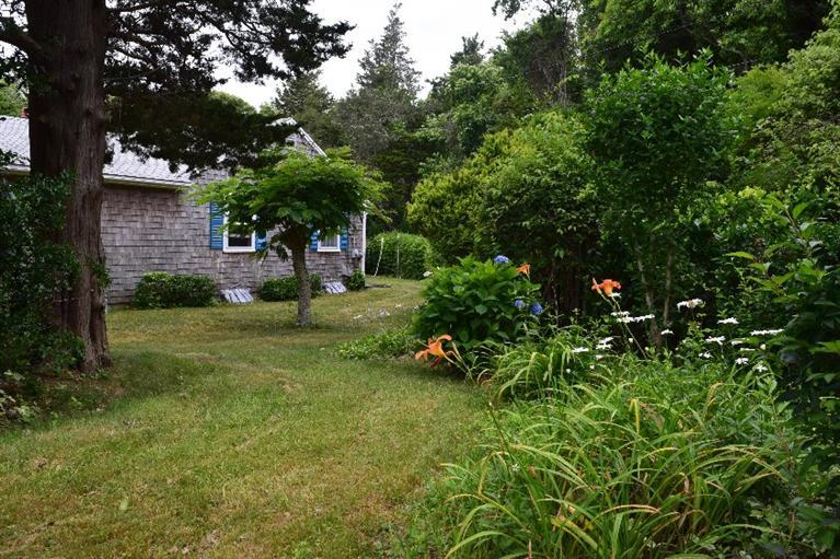 62 Cedar Land Road Orleans, MA 02653 - Photo 29 of 30 a view of a garden with plants