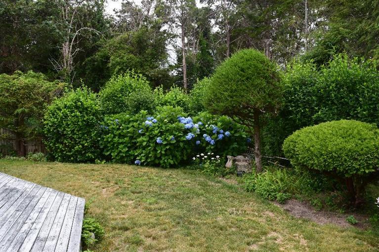 62 Cedar Land Road Orleans, MA 02653 - Photo 30 of 30 a view of yard with green space