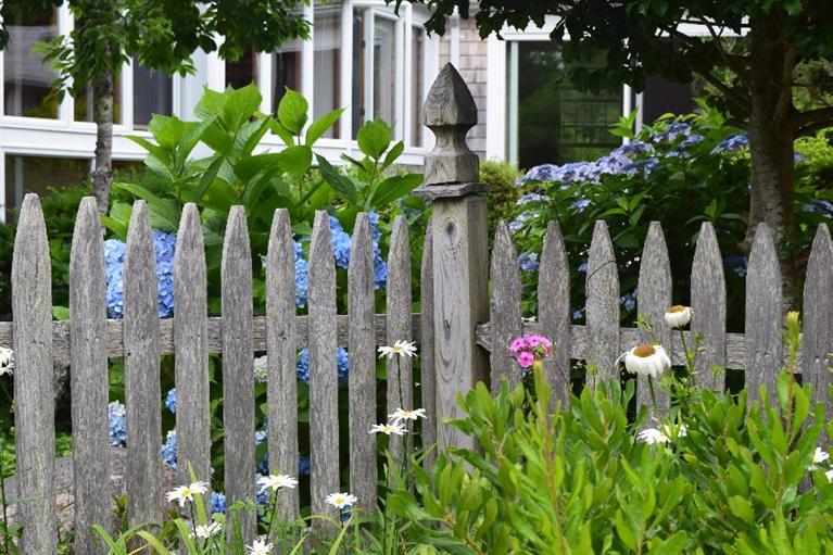 62 Cedar Land Road Orleans, MA 02653 - Photo 3 of 30 a flower plants in front of yellow house
