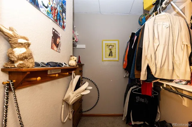 a view of a room with storage and utility