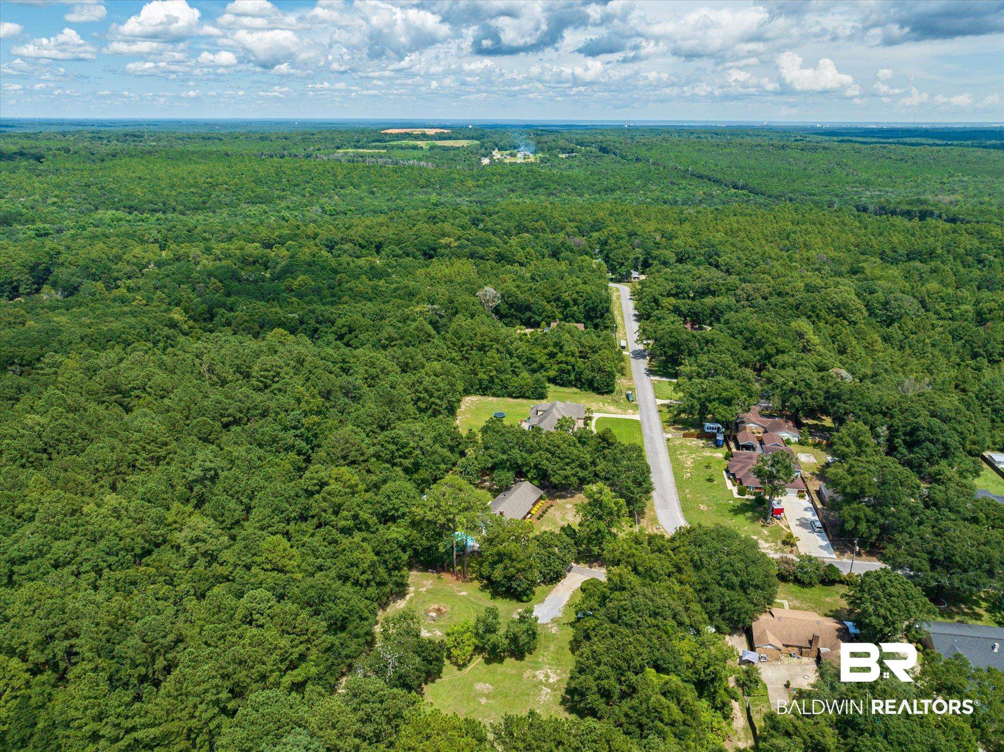 3325 Lacoste Road Mobile, AL 36618 - Photo 35 of 35 Birds eye view of property