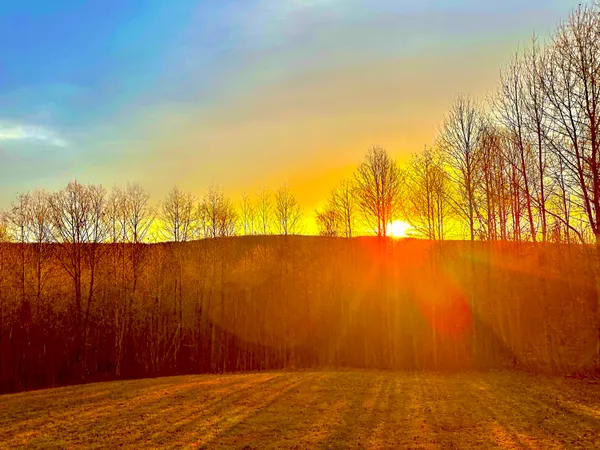 $795,000 | 967 Walden Drive, Signal Mountain, TN 37377