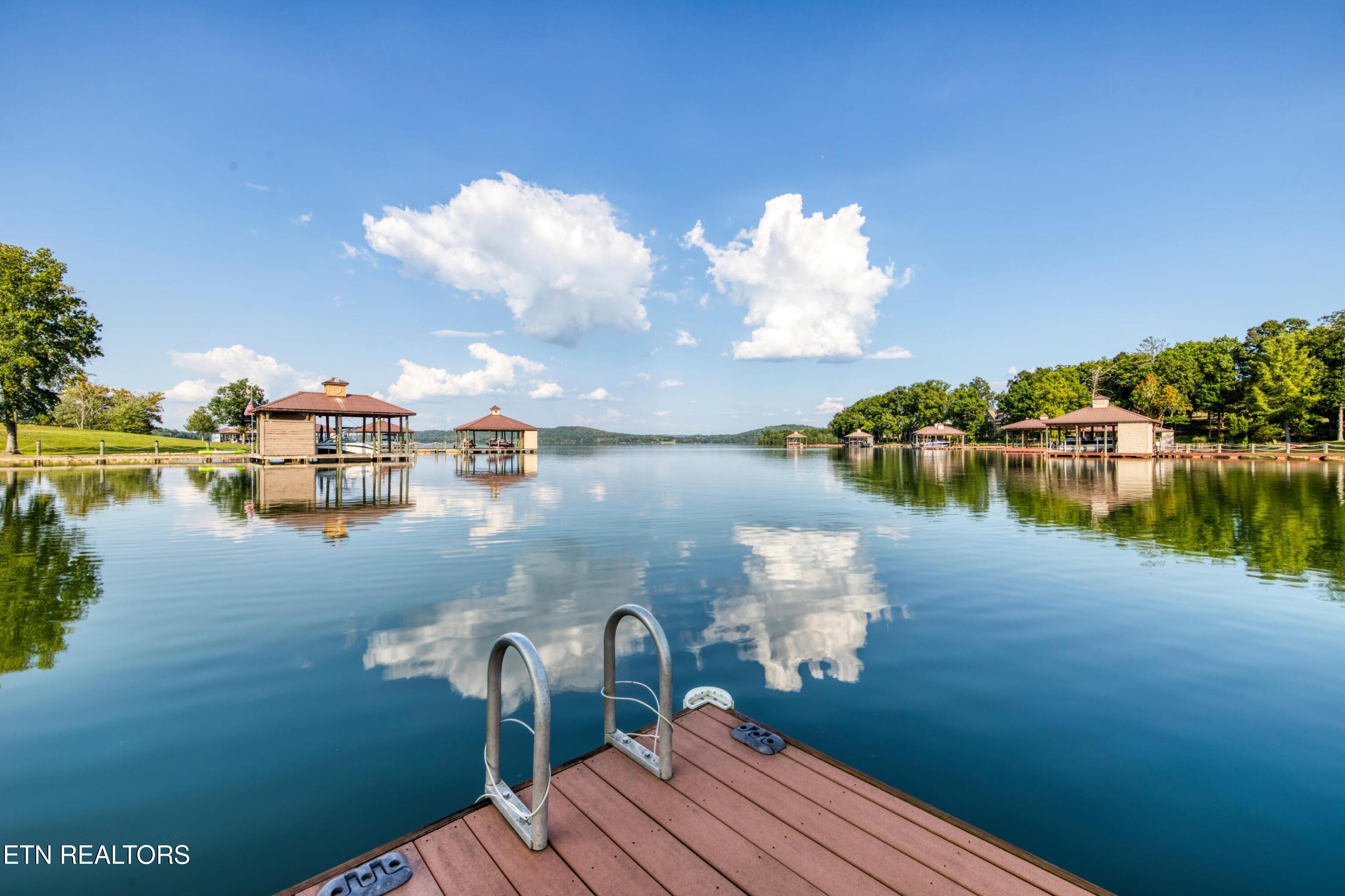 436 Waterfront Way Spring City, TN 37381 - Photo 56 of 60 Lake Kiley Niles Engel & Volkers