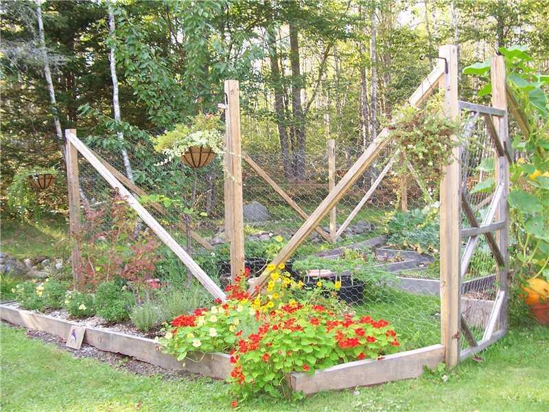 71 Birch Ridge Road Machias, ME 04654 - Photo 7 of 26 Yard/Garden.
