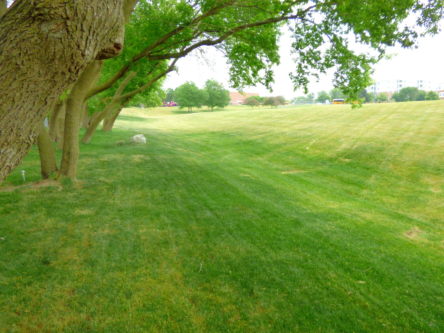 432 Thunder Ridge Lake In The Hills, IL 60156 - Photo 26 of 28 a view of an ocean from a yard