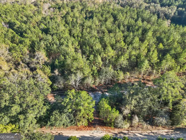 $45,000 | 0 Beautiful Zion Cemetary Road, Pembroke, GA 31321