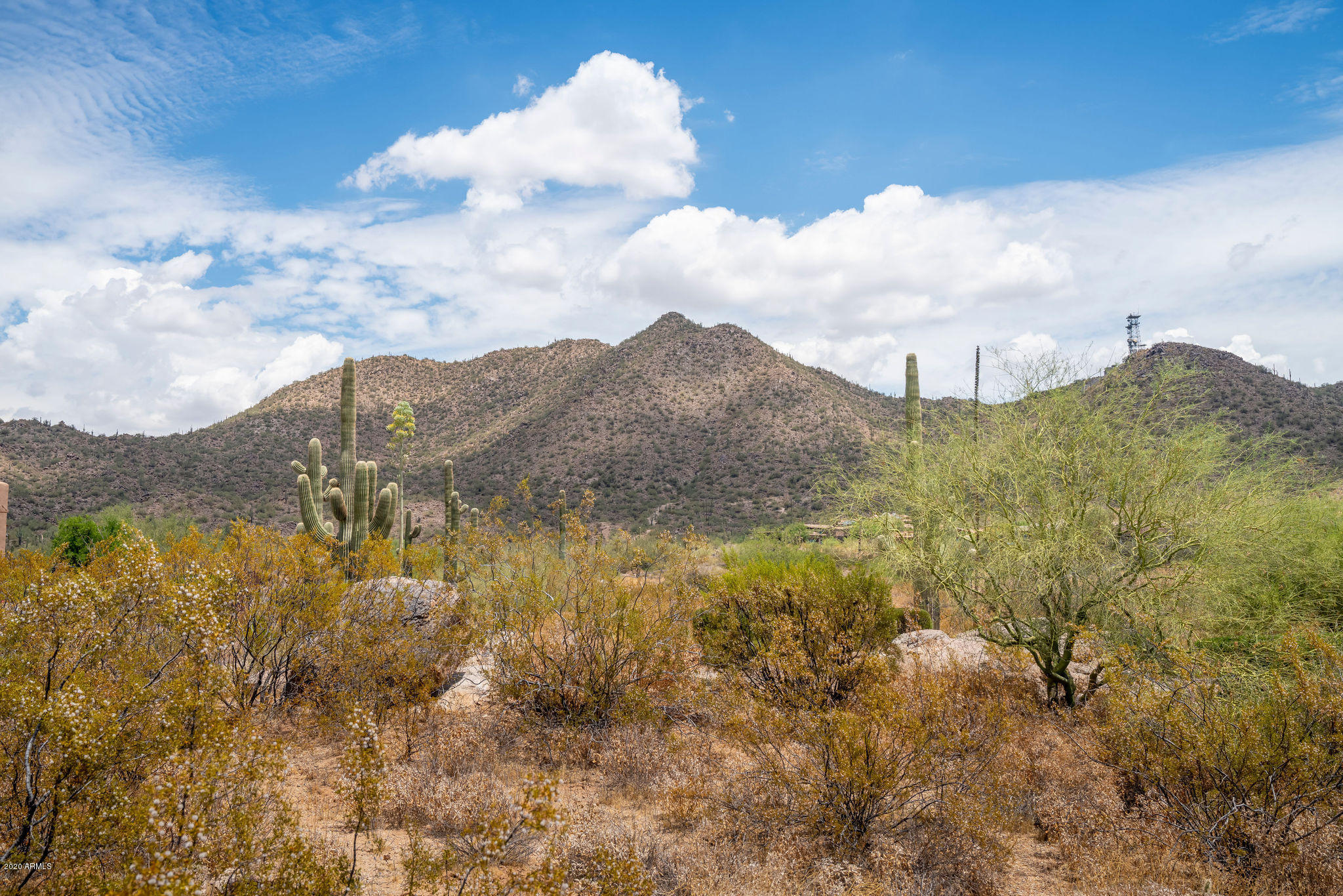 4203 North Pinnacle Ridge Mesa, AZ 85207 - Photo 19 of 55 Backyard Mtn Views