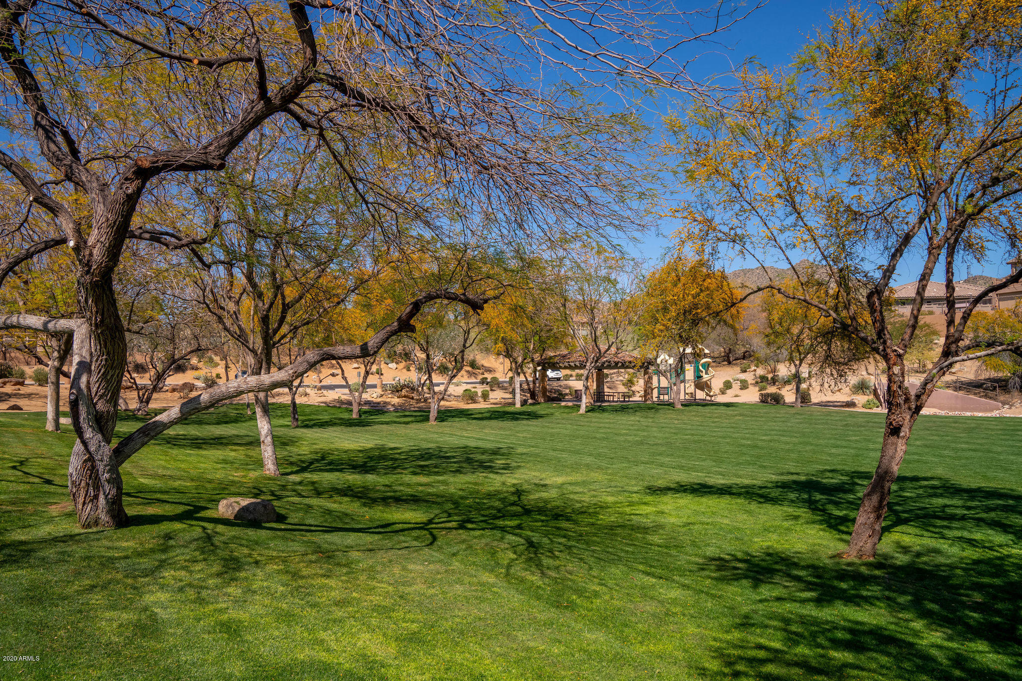 4203 North Pinnacle Ridge Mesa, AZ 85207 - Photo 49 of 55 Las Sendas Parks