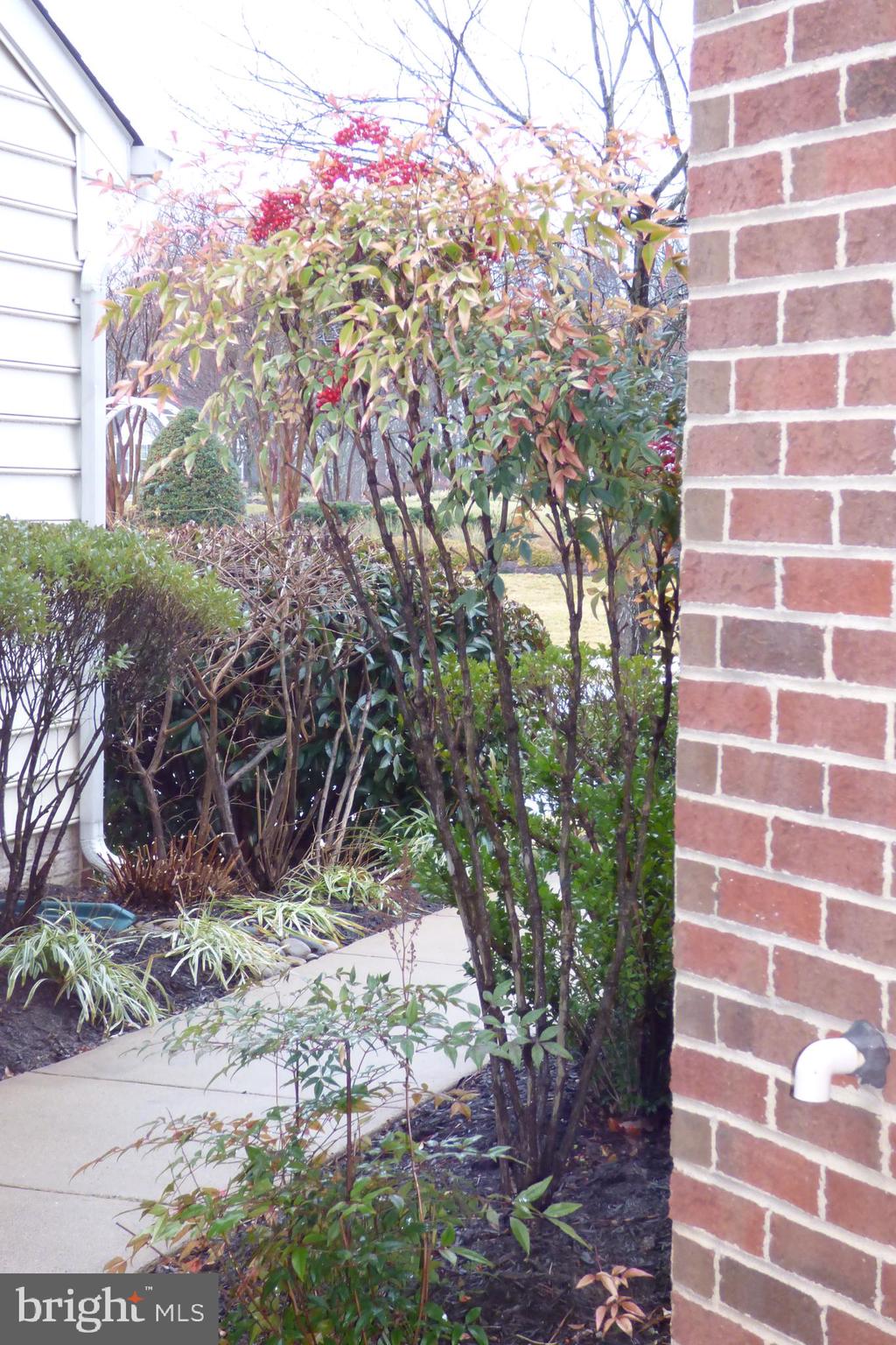 13113 Winding Trail Road Laurel, MD 20707 - Photo 4 of 47 a front view of a house with a yard