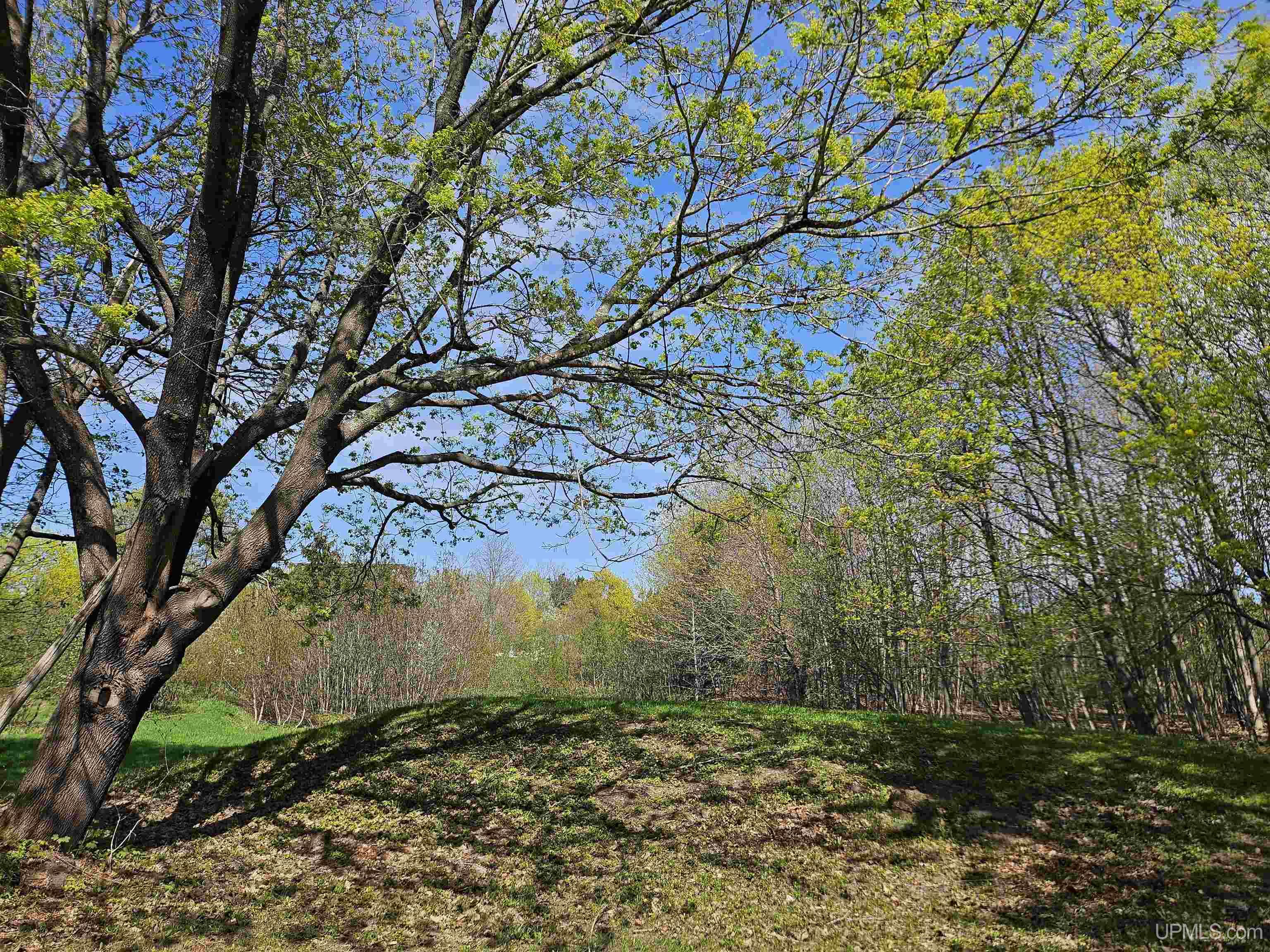 27017 Number 4 Road Calumet, MI 49913 - Photo 3 of 18