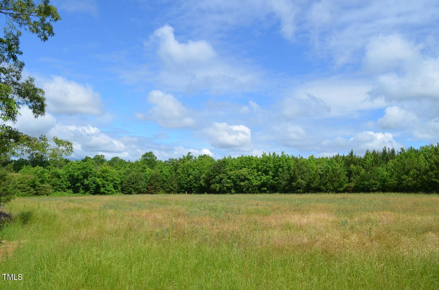 Lot D Vicksboro Road Henderson, NC 27537 - Photo 8 of 10 a view of a garden