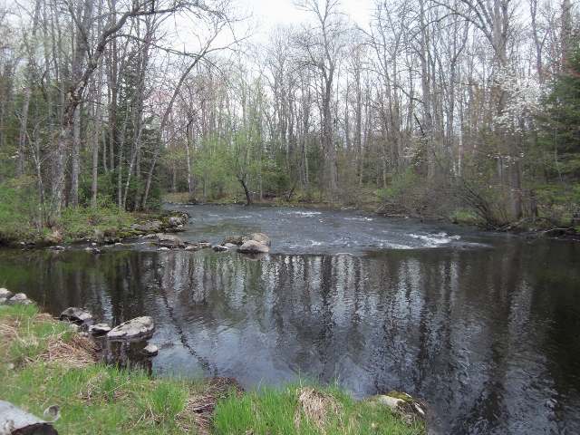 5701 East Echo Lake Road Mercer, WI 54547 - Photo 7 of 18 Gallery Image 7