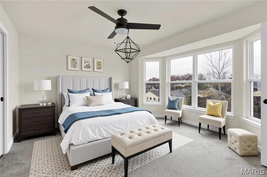 1069 Providence Way Herculaneum, MO 63048 - Photo 12 of 40