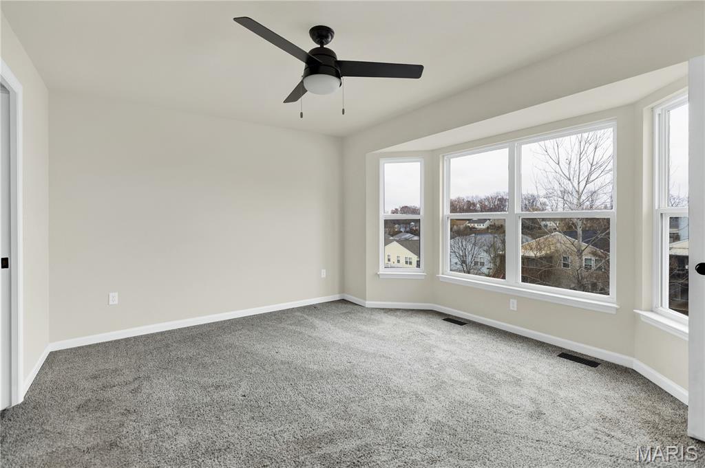 1069 Providence Way Herculaneum, MO 63048 - Photo 13 of 40