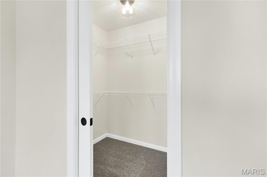 1069 Providence Way Herculaneum, MO 63048 - Photo 32 of 40