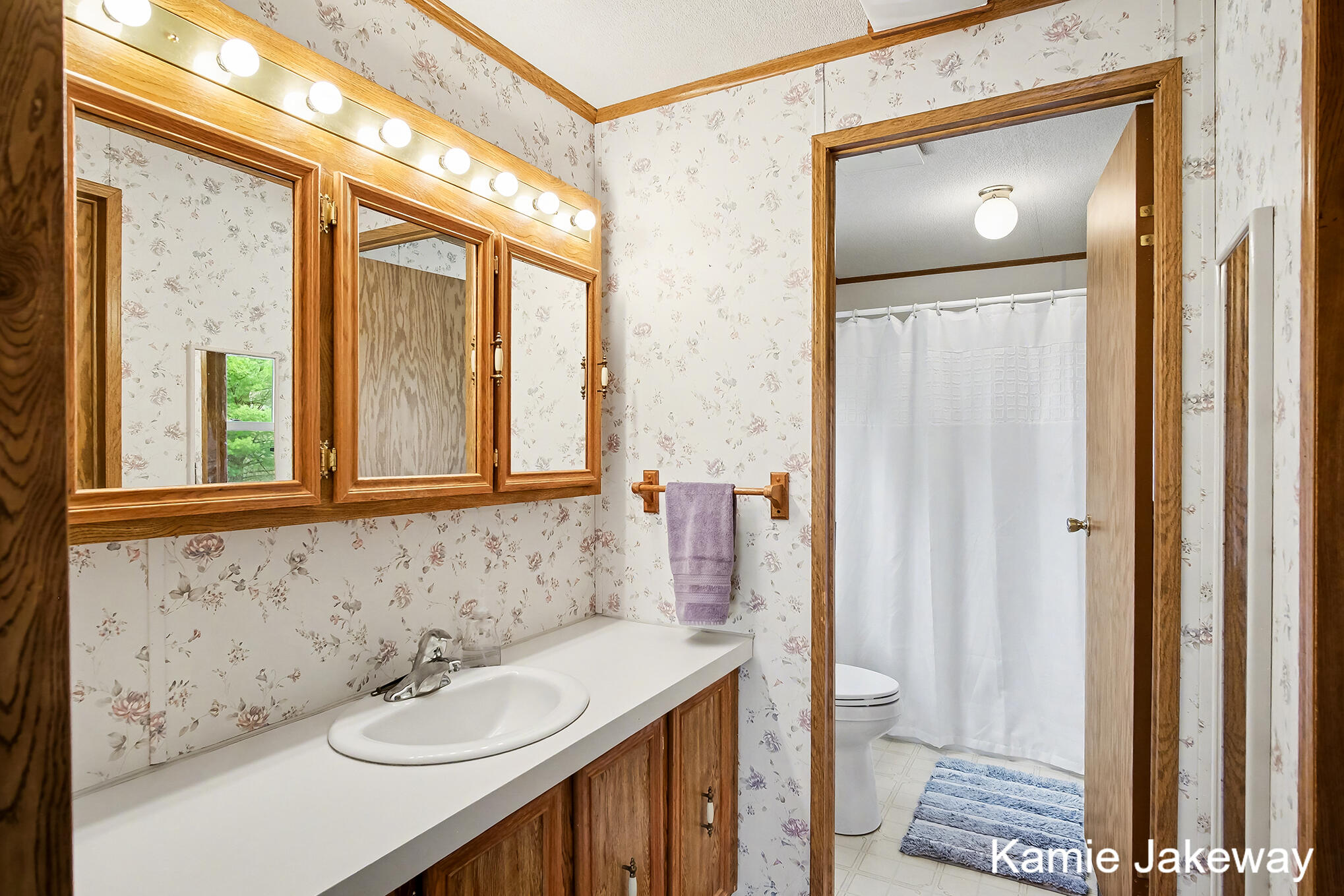 1720 West Fenwick Road Fenwick, MI 48834 - Photo 16 of 30 Primary bathroom