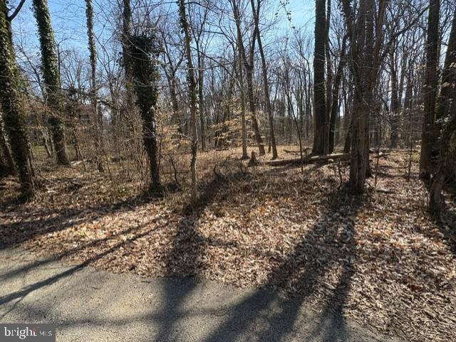 8127 Stacey Road Alexandria, VA 22308 - Photo 12 of 16