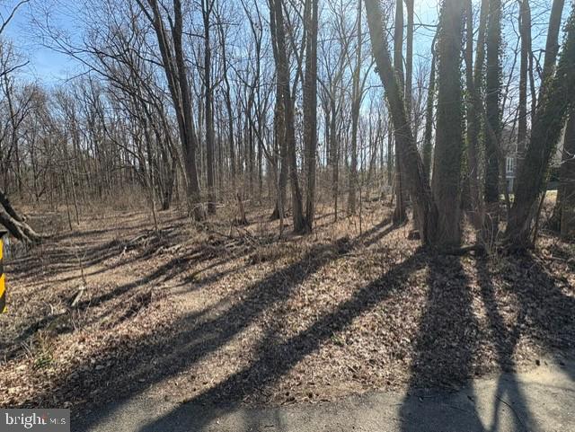 8127 Stacey Road Alexandria, VA 22308 - Photo 13 of 16