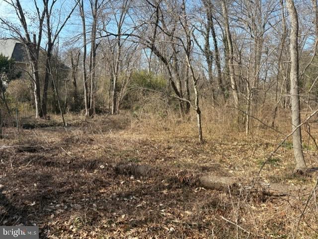 8127 Stacey Road Alexandria, VA 22308 - Photo 4 of 16