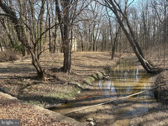 8127 Stacey Road Alexandria, VA 22308 - Photo 7 of 16