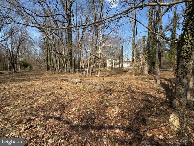 8127 Stacey Road Alexandria, VA 22308 - Photo 9 of 16