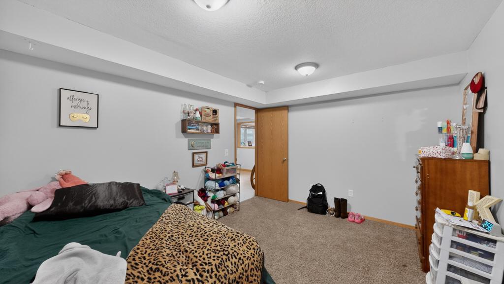 100 Capelle Court Spring Valley, MN 55975 - Photo 45 of 70