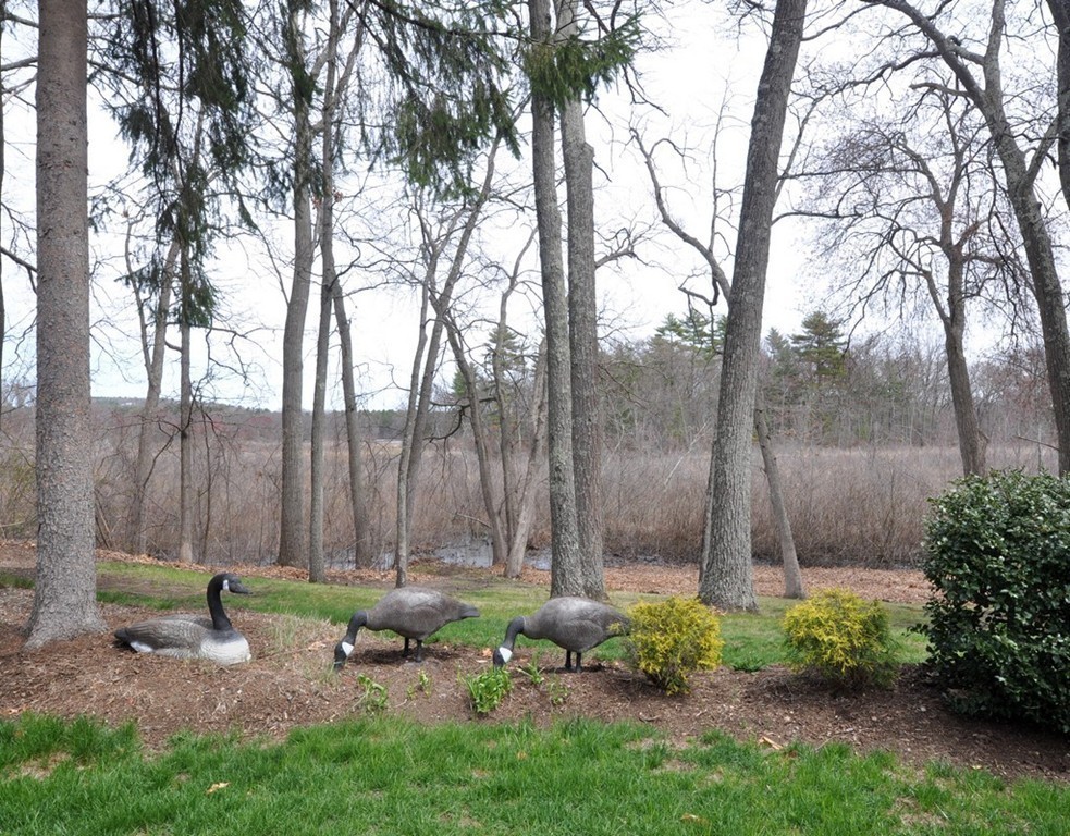 50 Wright Road Concord, MA 01742 - Photo 23 of 28 Gallery Image 23