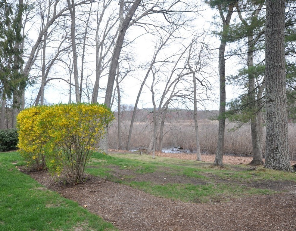 50 Wright Road Concord, MA 01742 - Photo 26 of 28 Gallery Image 26