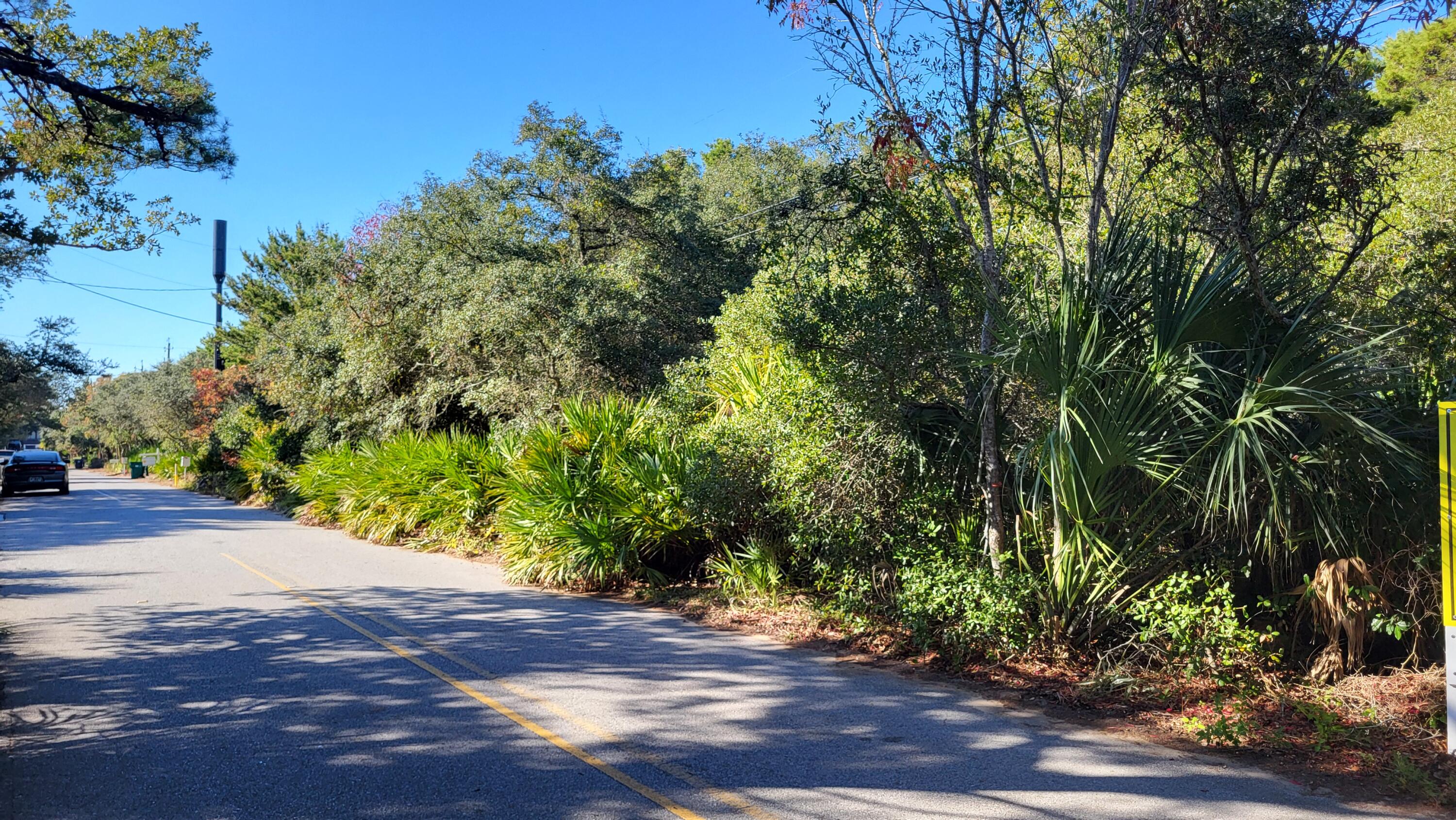 0 Walton Rose Ln Inlet Beach Inlet Beach, FL 32461 - Photo 11 of 49 a view of a yard with plants and trees