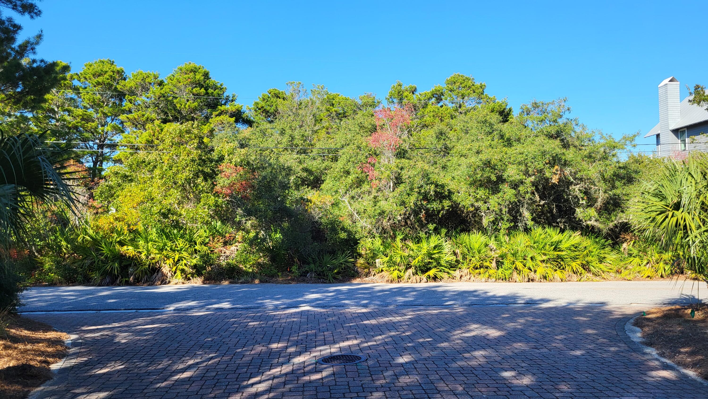 0 Walton Rose Ln Inlet Beach Inlet Beach, FL 32461 - Photo 12 of 49 a backyard of a house with lots of green space