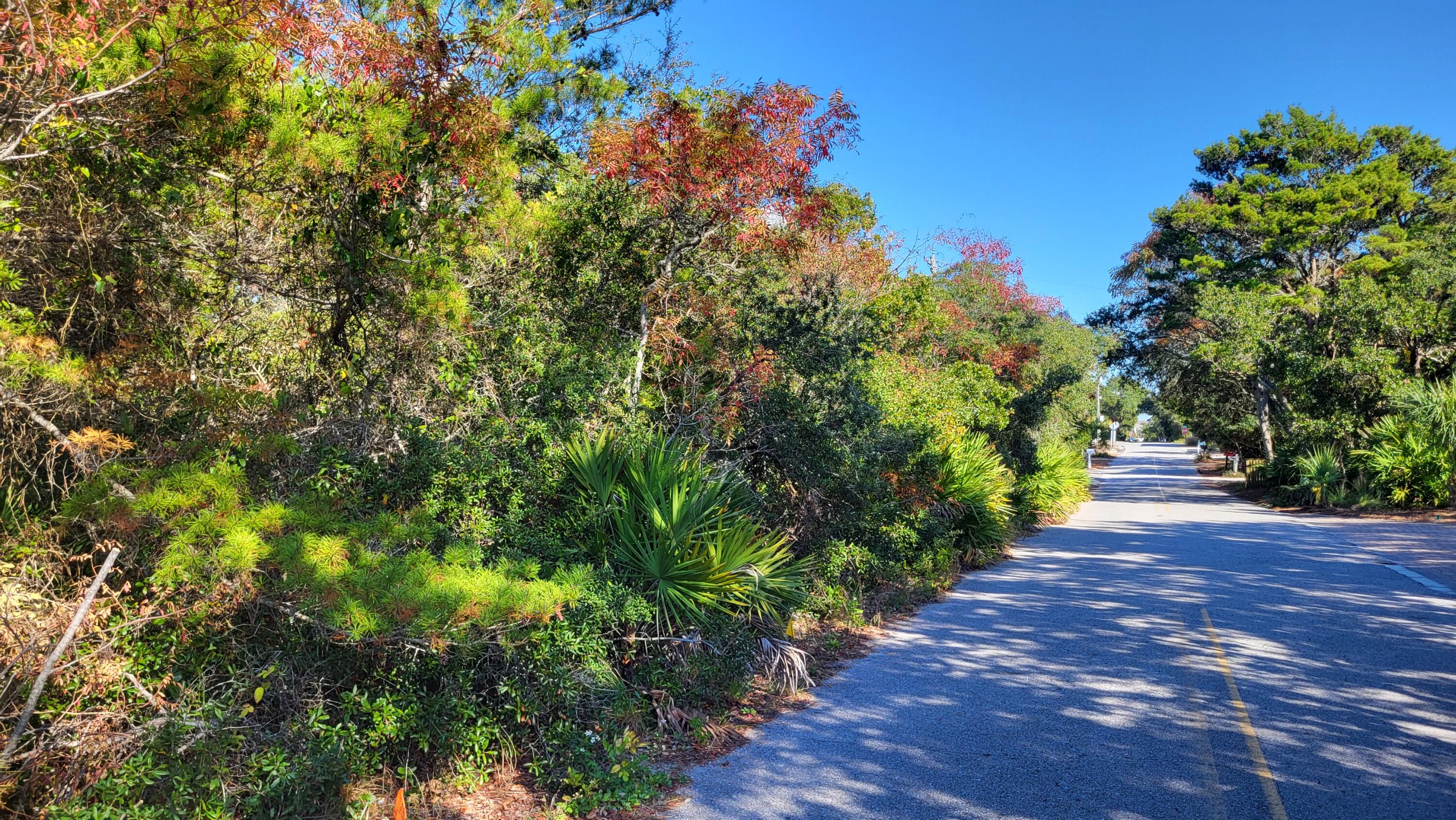 0 Walton Rose Ln Inlet Beach Inlet Beach, FL 32461 - Photo 13 of 49 1000025790