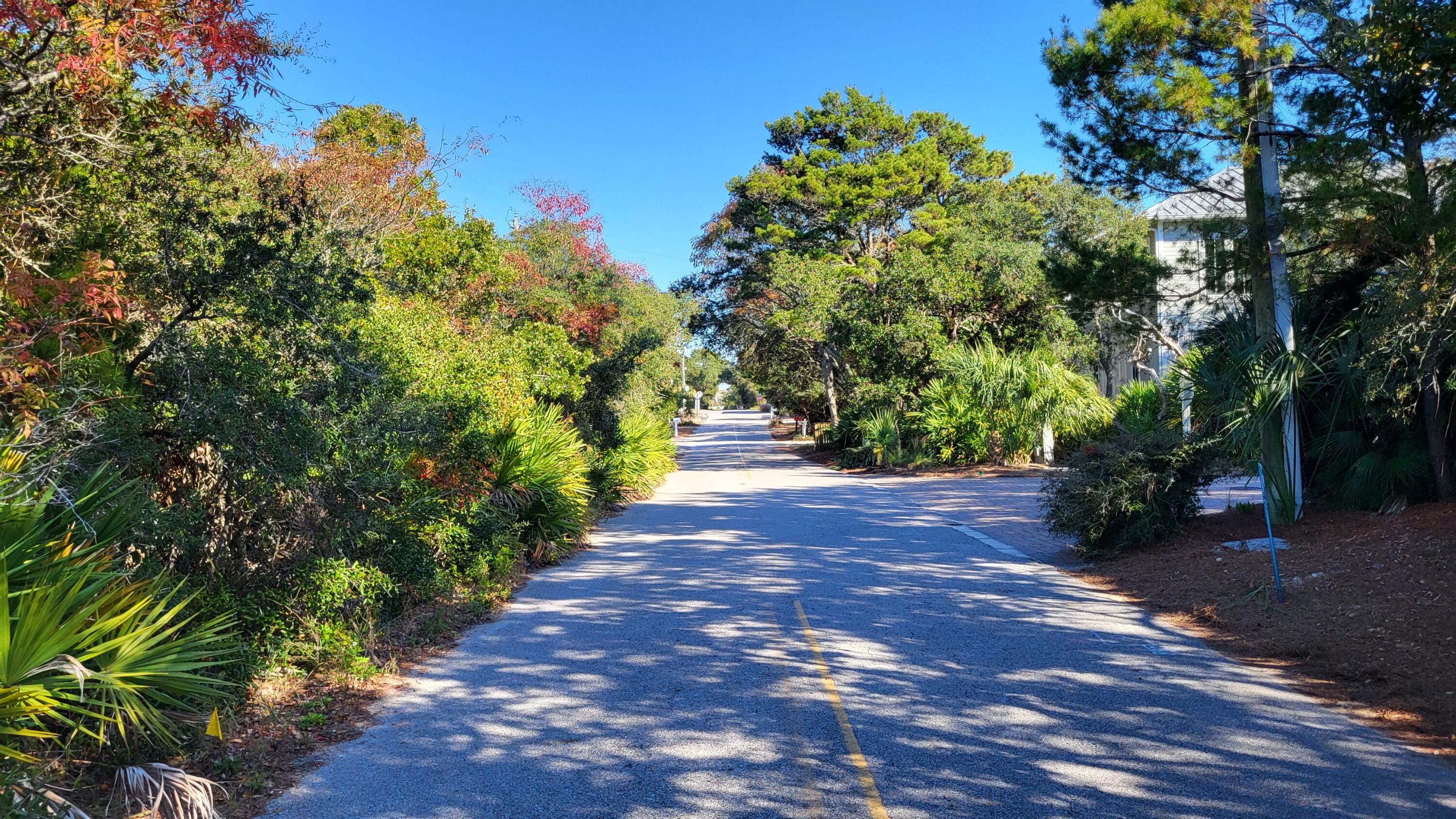0 Walton Rose Ln Inlet Beach Inlet Beach, FL 32461 - Photo 14 of 49 a view of a yard with plants and trees