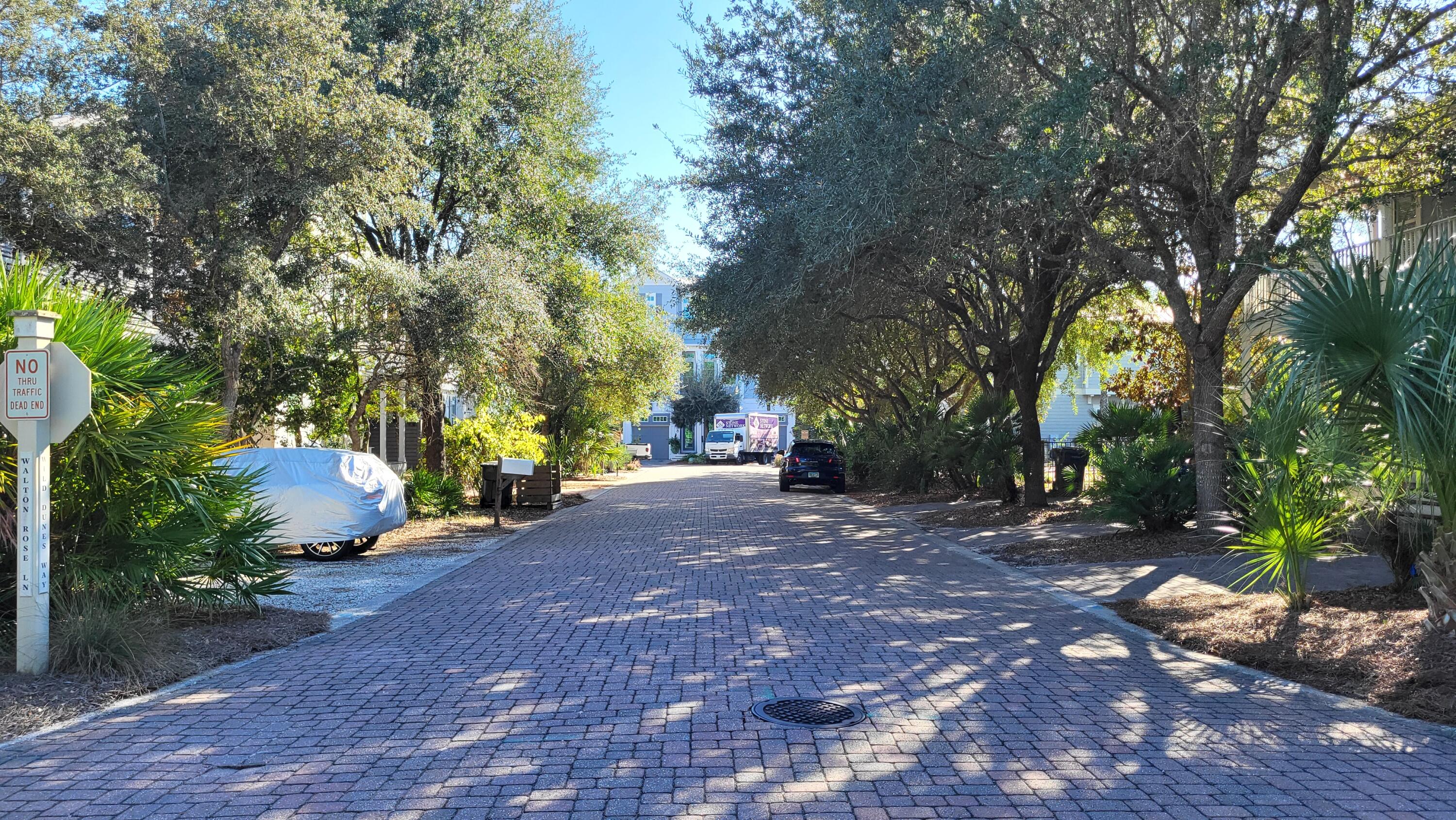 0 Walton Rose Ln Inlet Beach Inlet Beach, FL 32461 - Photo 15 of 49 a view of a tree in front of a house
