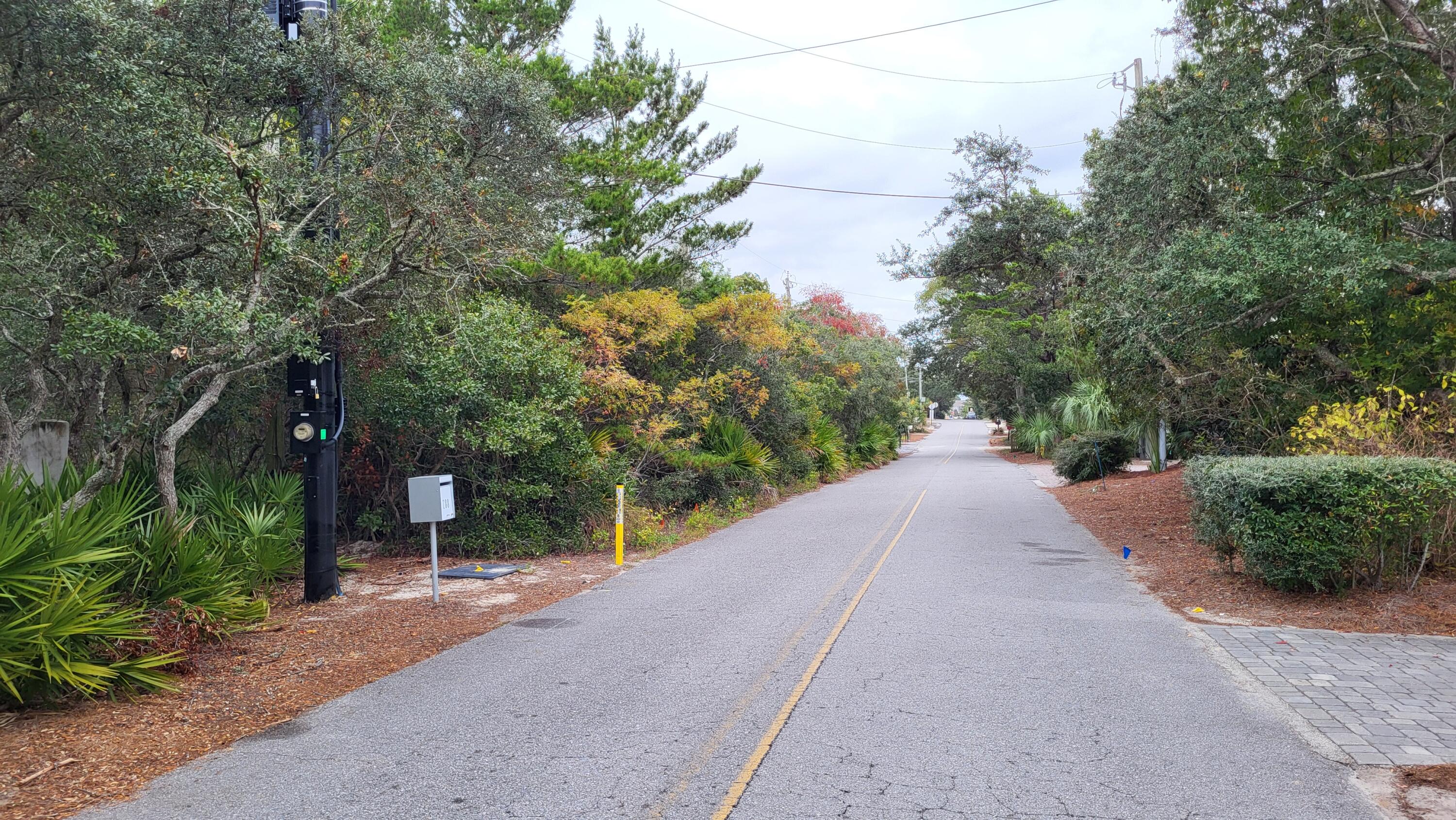 0 Walton Rose Ln Inlet Beach Inlet Beach, FL 32461 - Photo 17 of 49 a view of a street with potted plants and large trees