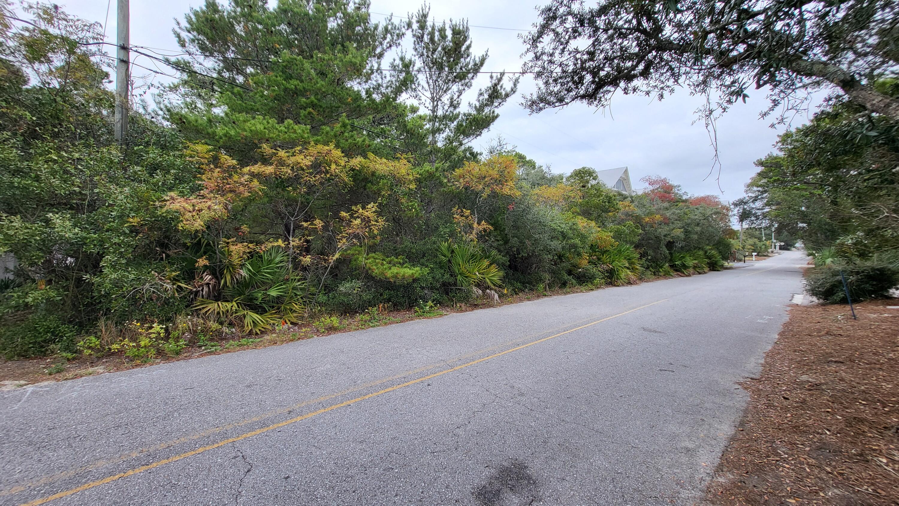 0 Walton Rose Ln Inlet Beach Inlet Beach, FL 32461 - Photo 19 of 49 a view of a road with a yard