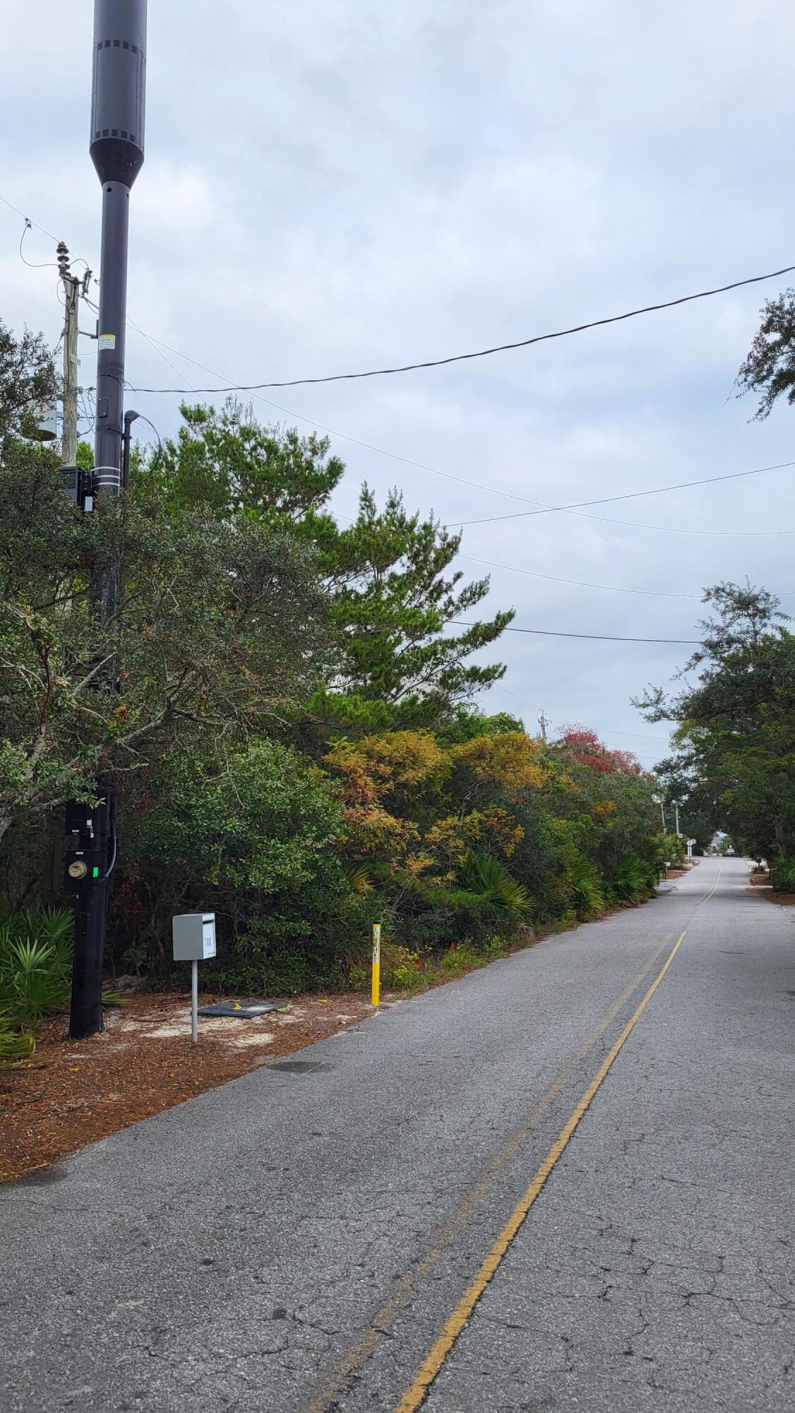 0 Walton Rose Ln Inlet Beach Inlet Beach, FL 32461 - Photo 20 of 49 a view of a street