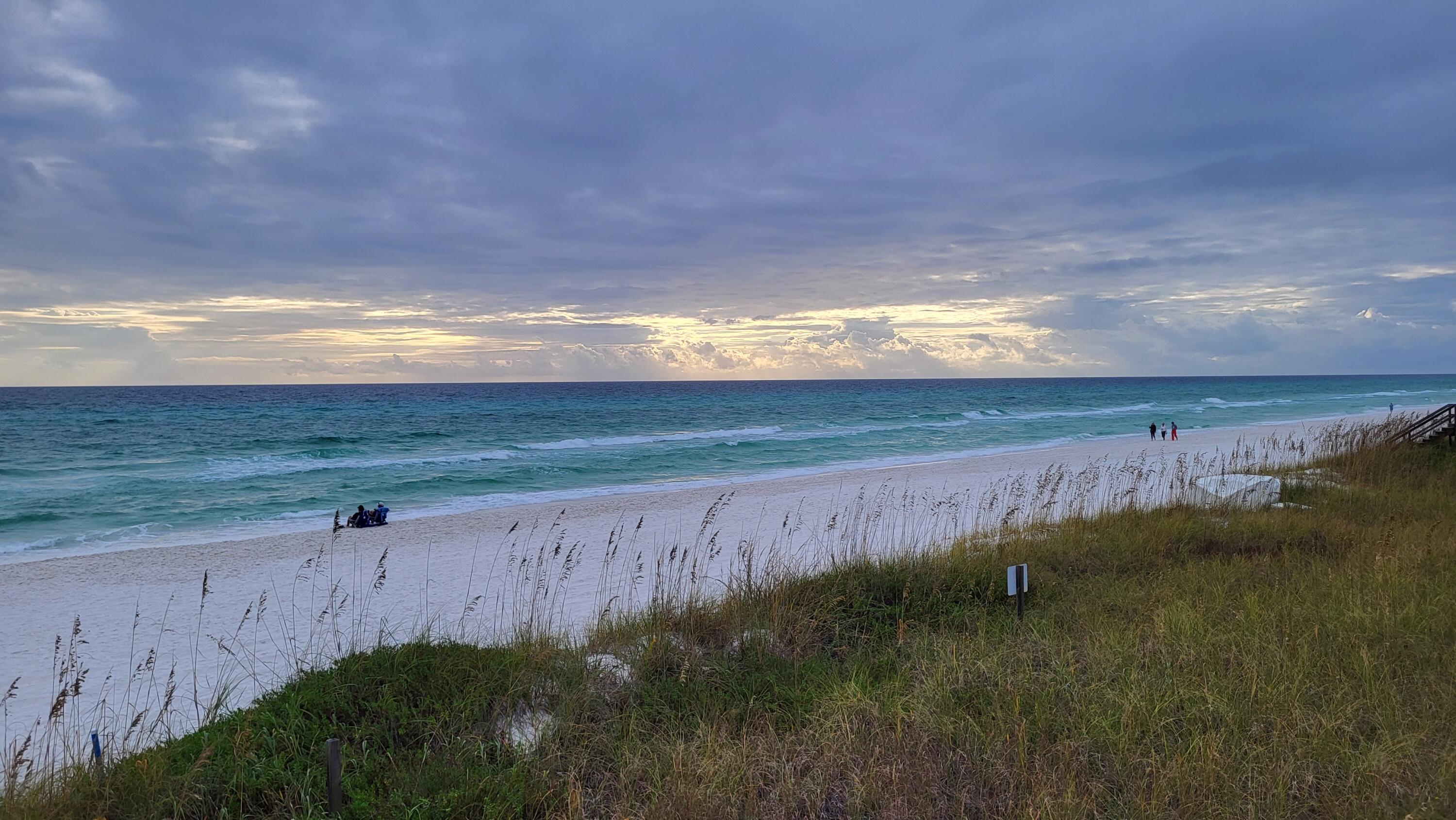 0 Walton Rose Ln Inlet Beach Inlet Beach, FL 32461 - Photo 41 of 49 a view of a yard with an ocean