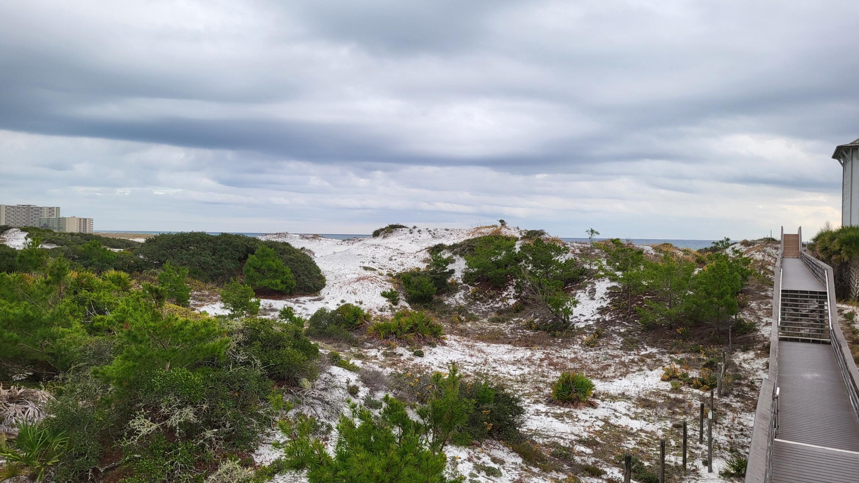 0 Walton Rose Ln Inlet Beach Inlet Beach, FL 32461 - Photo 46 of 49 a view of a bunch of trees in a field