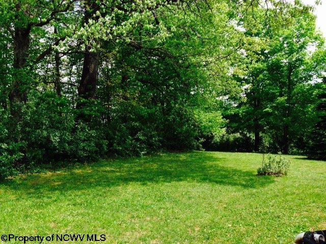 1511 Fairview Road Independence, WV 26374 - Photo 9 of 17 Gallery Image 9