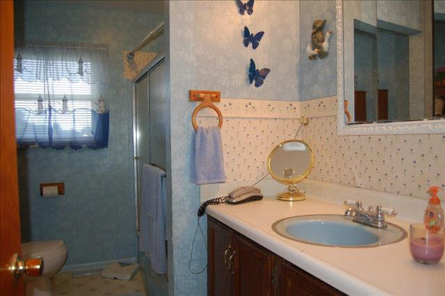 6195 Wells Road Petersburg, MI 49270 - Photo 11 of 12 BATHROOM