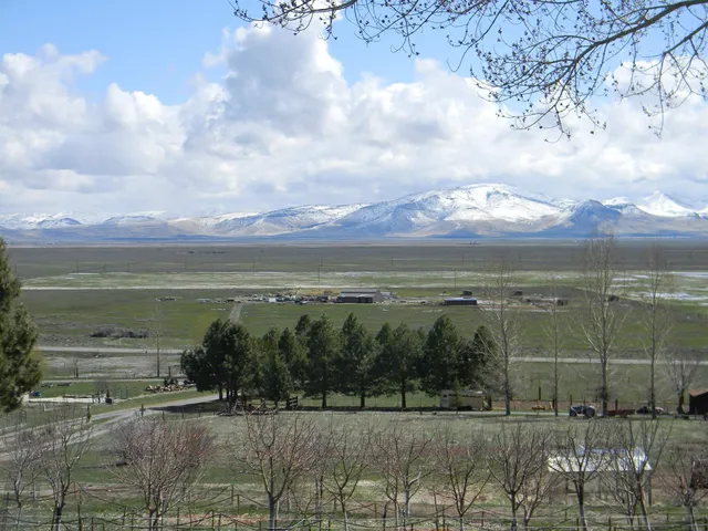 a view of a lake with a mountain