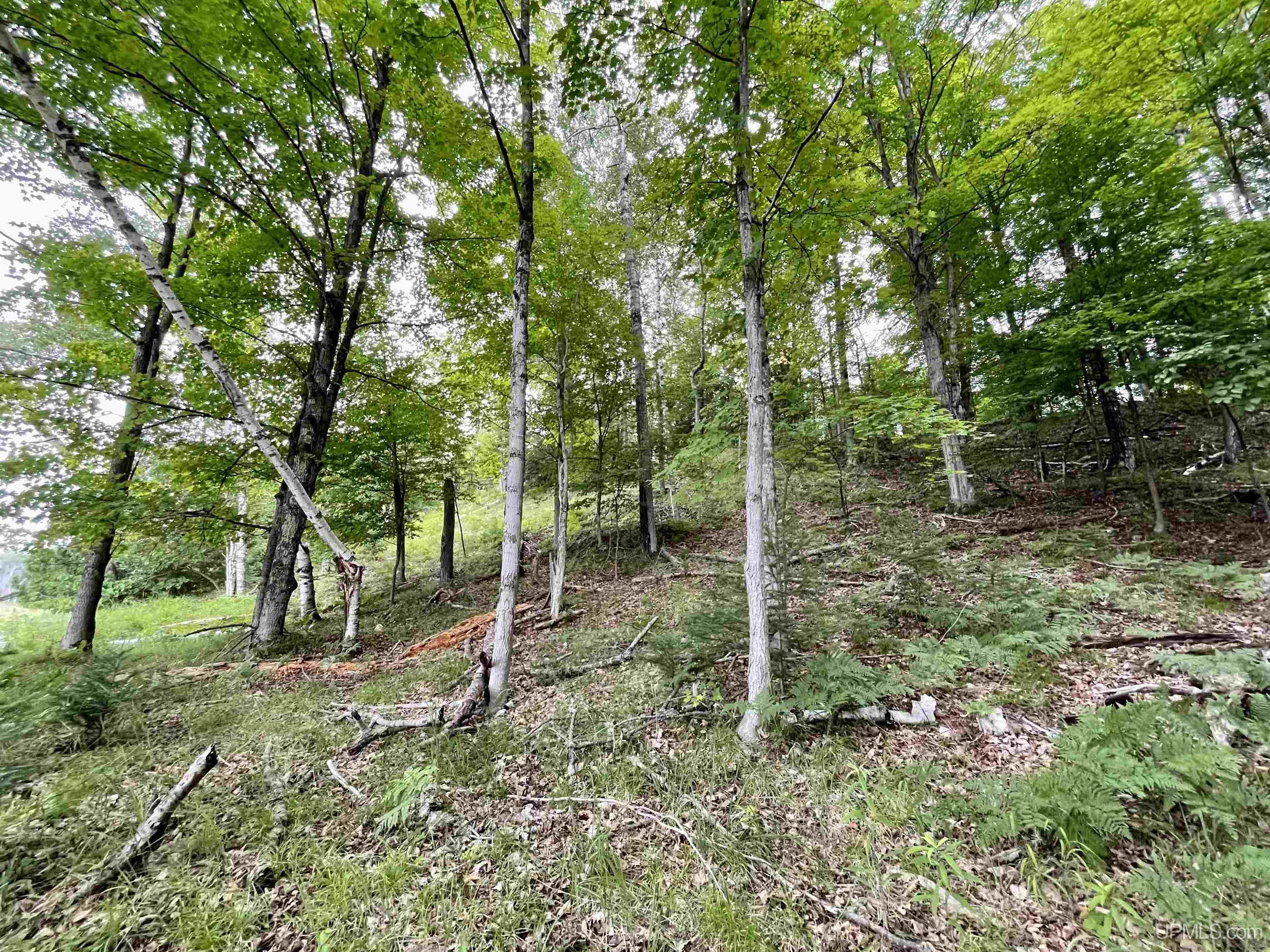 23.5 Rd Gladstone Mi 49837 Road Gladstone, MI 49837 - Photo 23 of 45