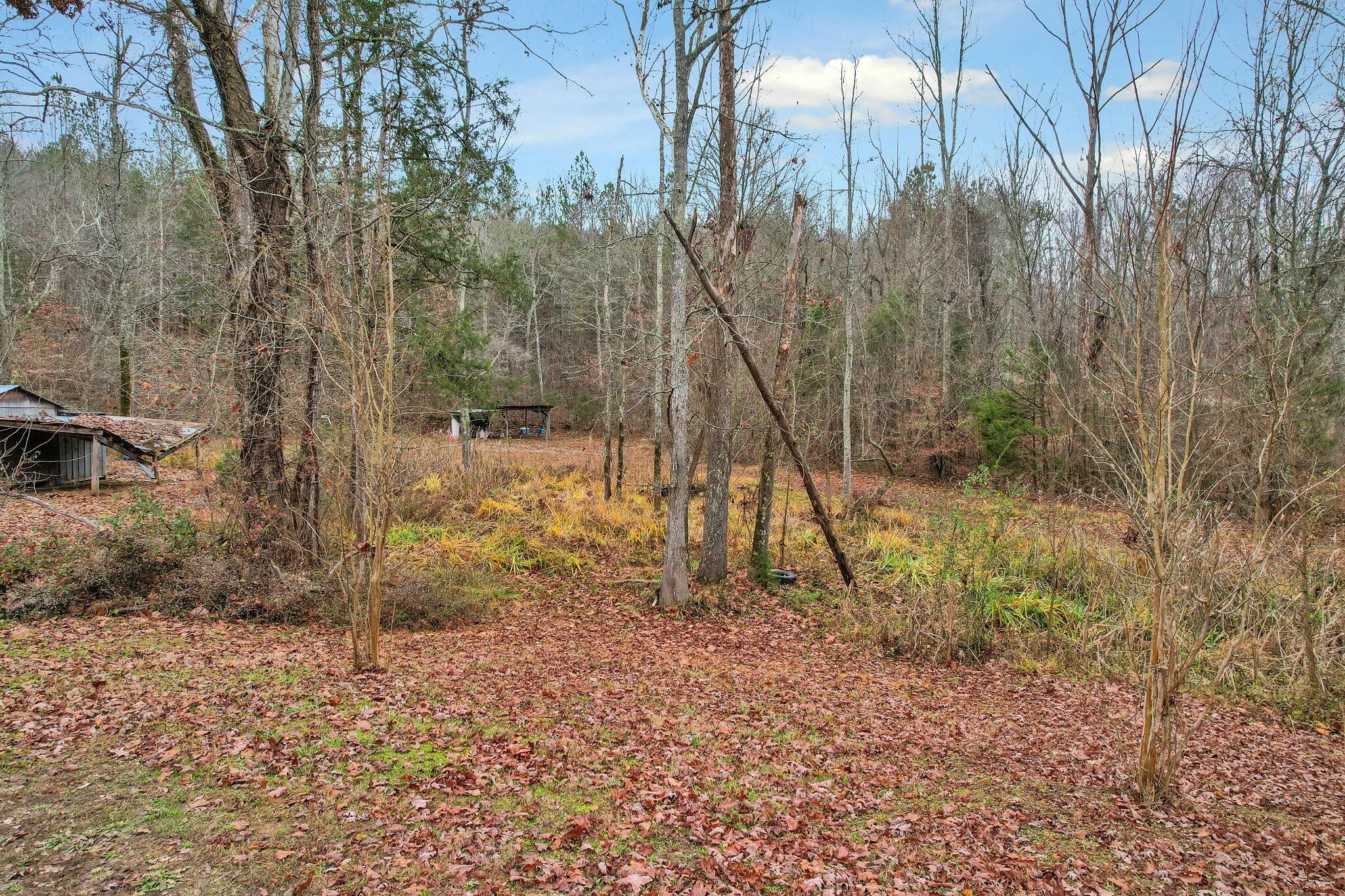 1895 North Hunter Bend Road Decatur, TN 37322 - Photo 19 of 33 a view of a yard with a tree