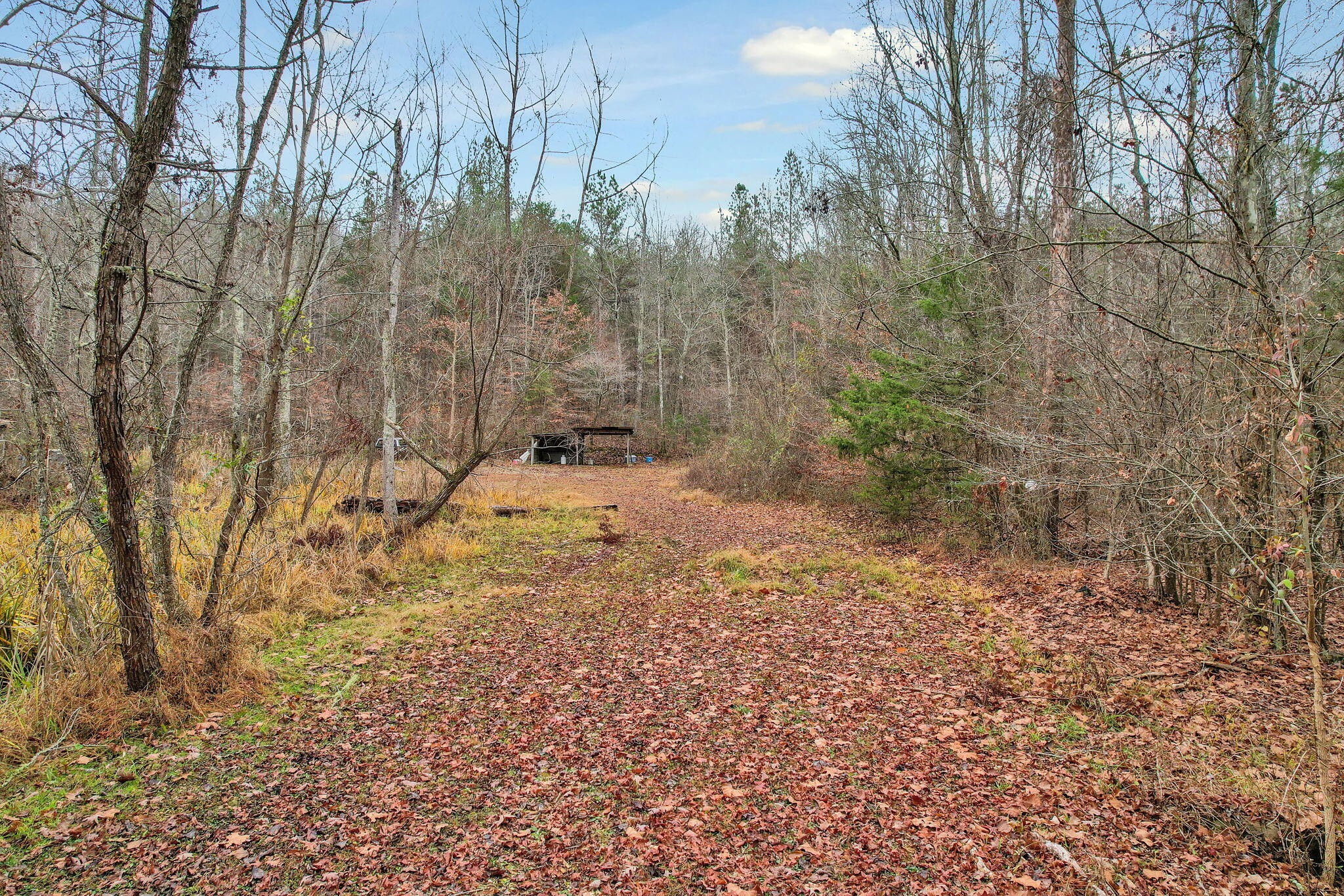 1895 North Hunter Bend Road Decatur, TN 37322 - Photo 20 of 33 a view of a backyard with large trees